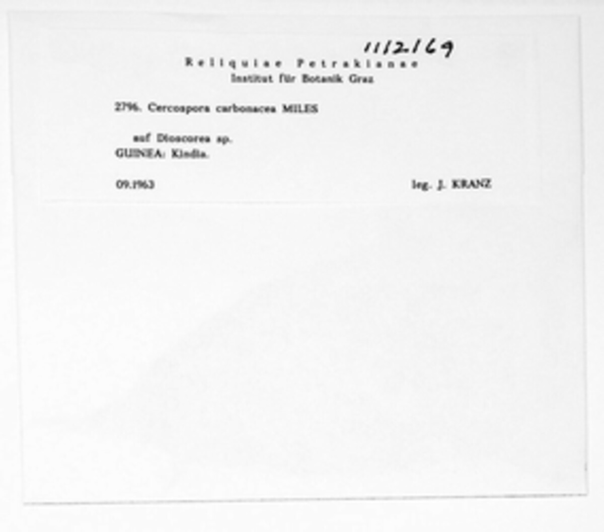 Cercospora carbonacea image